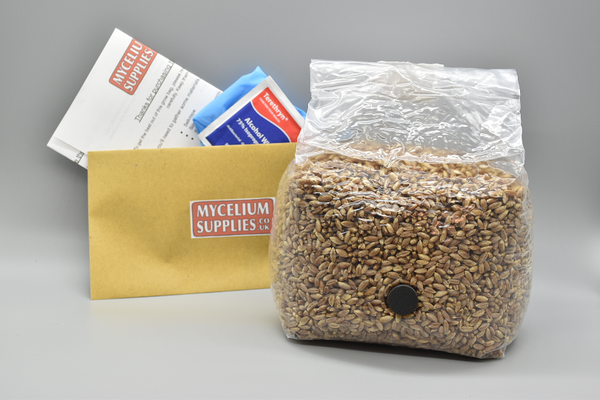 Sterilised organic rye grain bag
