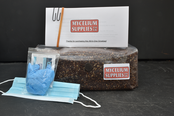 All-in-one mushroom grow bag