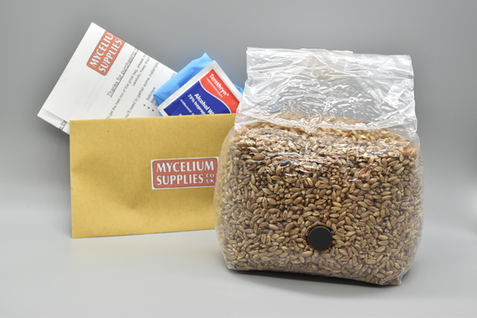 Organic Rye Grain bags for Mushroom Spawn