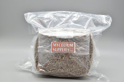 Organic Rye Grain bags for Mushroom Spawn